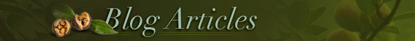 Arette Organics Blog Articles